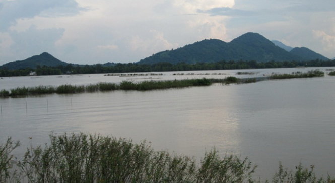 Cá chốt sống nhiều trong các con sông, kênh, rạch vùng đầu nguồn Tịnh Biên và Tri Tôn